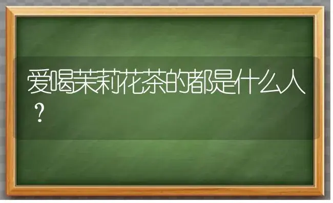 爱喝茉莉花茶的都是什么人？ | 绿植常识