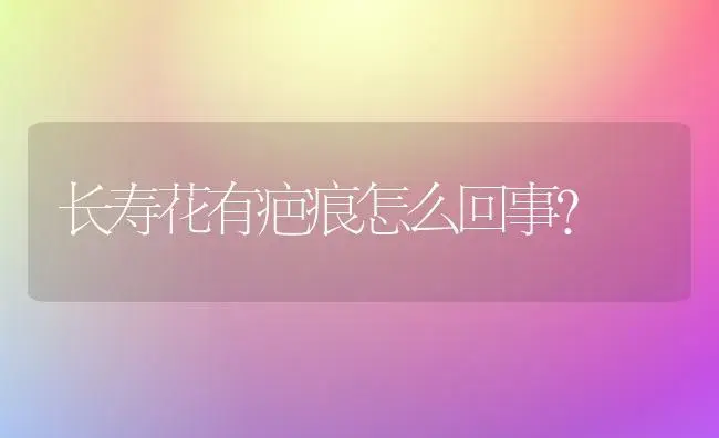 长寿花有疤痕怎么回事？ | 多肉养殖