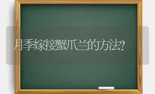 月季嫁接蟹爪兰的方法？ | 多肉养殖