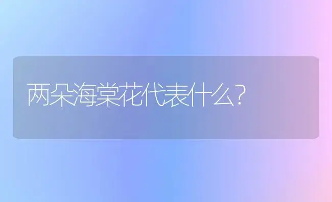 两朵海棠花代表什么？ | 绿植常识