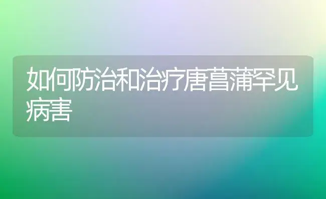 如何防治和治疗唐菖蒲罕见病害 | 家庭养花