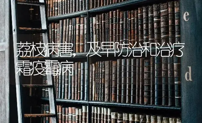 荔枝病害，及早防治和治疗霜疫霉病 | 果木种植