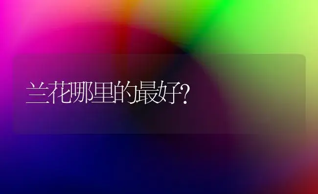 兰花哪里的最好？ | 绿植常识