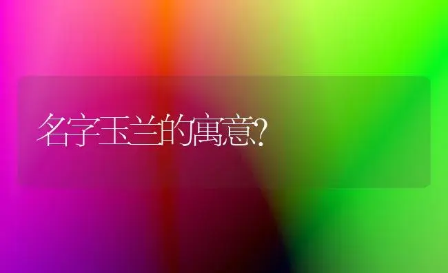 名字玉兰的寓意？ | 绿植常识