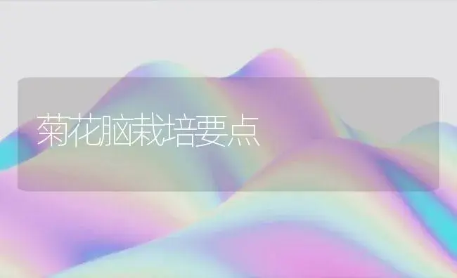 菊花脑栽培要点 | 家庭养花