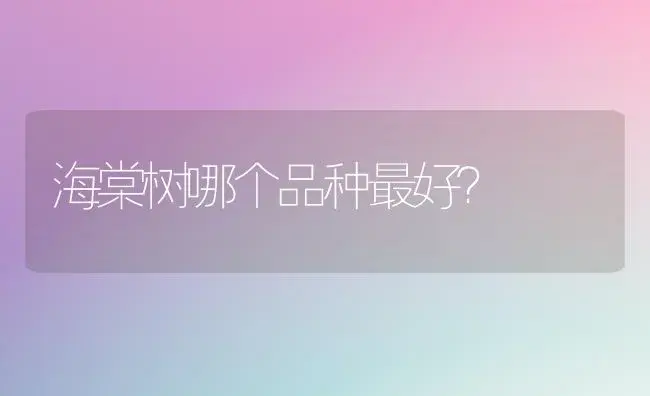 海棠树哪个品种最好？ | 绿植常识