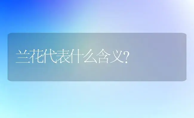 兰花代表什么含义？ | 绿植常识