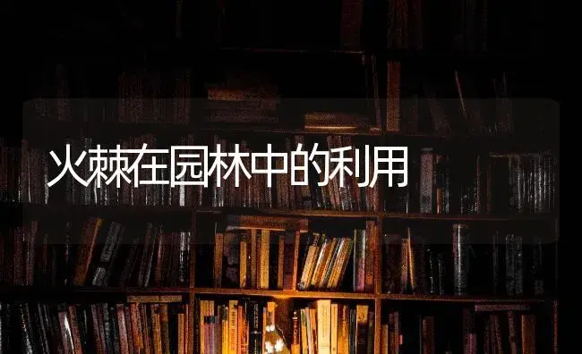 火棘在园林中的利用 | 特种种植