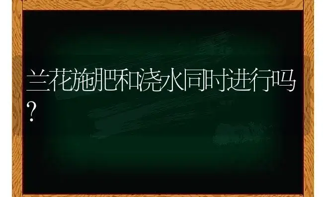 兰花施肥和浇水同时进行吗？ | 绿植常识