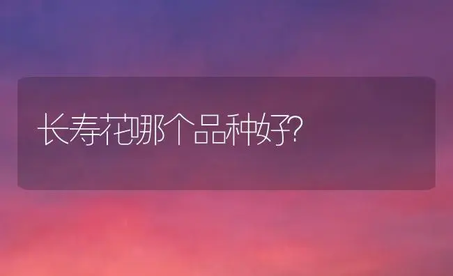 乙女心缀化好养吗？ | 多肉养殖