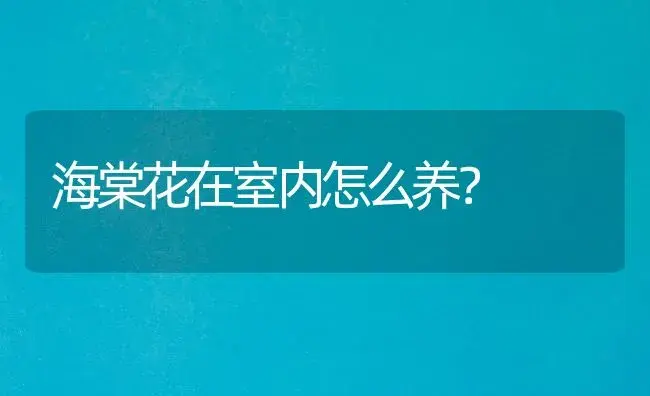 海棠花在室内怎么养？ | 绿植常识