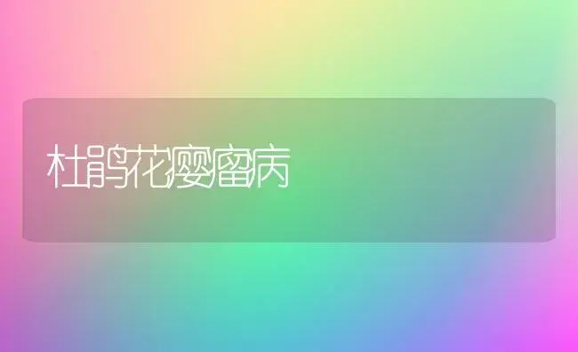 杜鹃花瘿瘤病 | 家庭养花