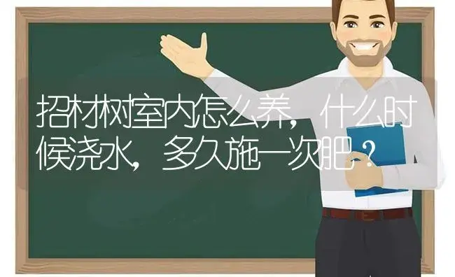 招材树室内怎么养,什么时候浇水,多久施一次肥？ | 多肉养殖