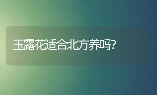 玉露花适合北方养吗？ | 多肉养殖