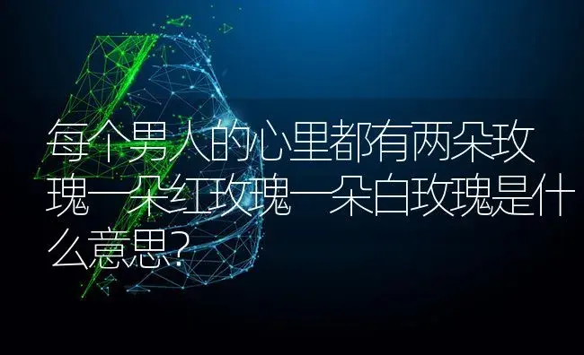 每个男人的心里都有两朵玫瑰一朵红玫瑰一朵白玫瑰是什么意思？ | 绿植常识