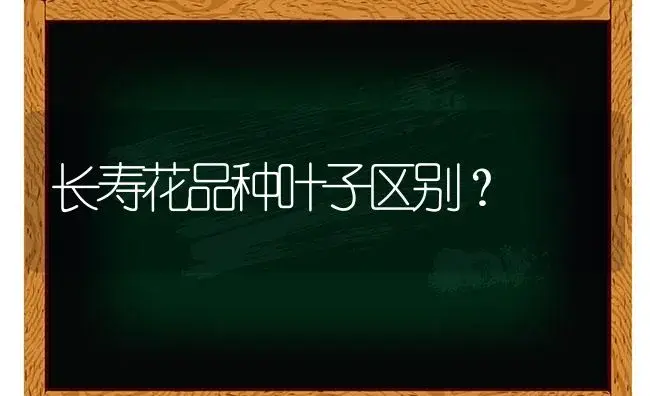 长寿花品种叶子区别？ | 多肉养殖