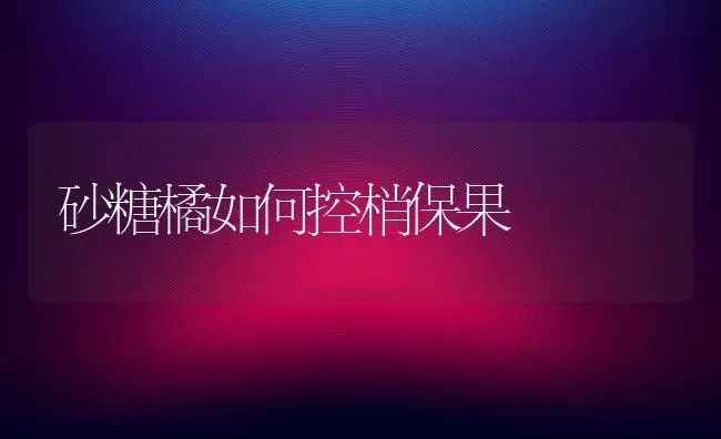 砂糖橘如何控梢保果 | 果木种植