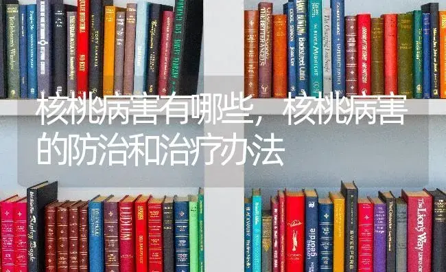 核桃病害有哪些，核桃病害的防治和治疗办法 | 果木种植