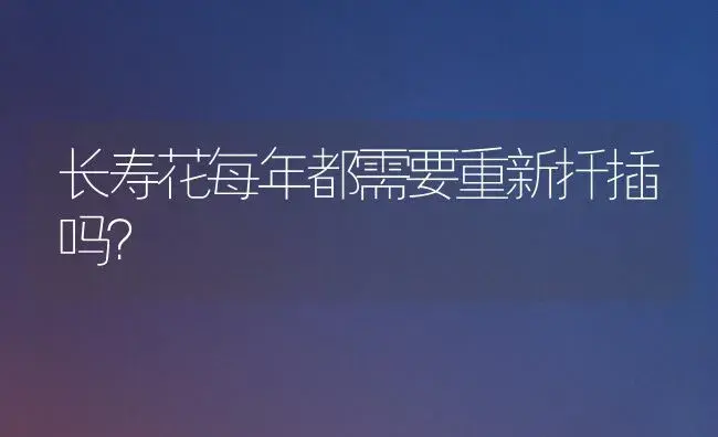 长寿花每年都需要重新扦插吗？ | 多肉养殖