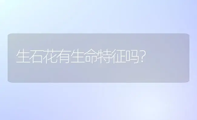 生石花有生命特征吗？ | 多肉养殖