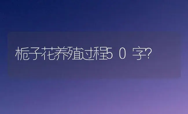 栀子花养殖过程50字？ | 绿植常识