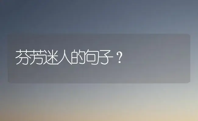 芬芳迷人的句子？ | 绿植常识