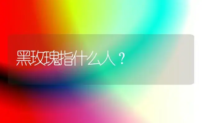 黑玫瑰指什么人？ | 绿植常识