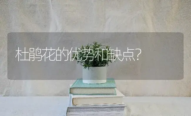 杜鹃花的优势和缺点？ | 绿植常识