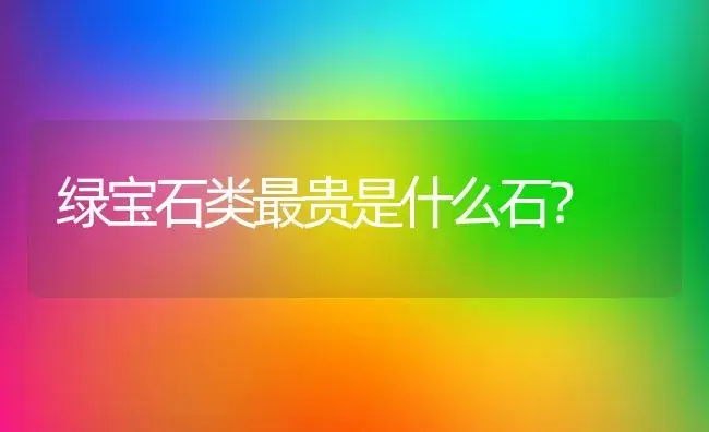 绿宝石类最贵是什么石？ | 多肉养殖