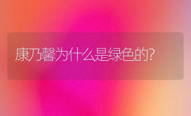 康乃馨为什么是绿色的？ | 绿植常识