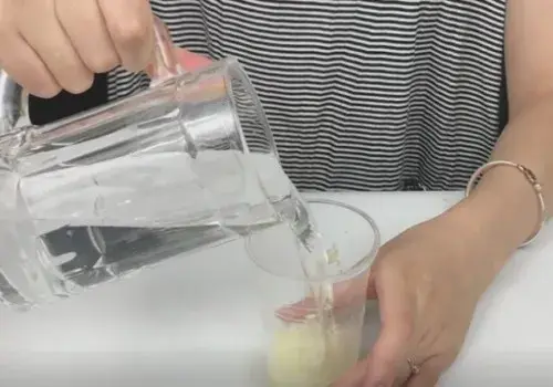 盆景知识 | 大蒜养花起什么作用