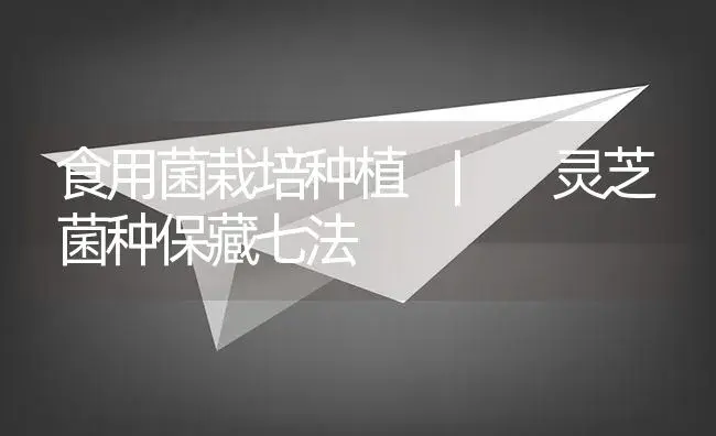 灵芝菌种保藏七法 | 菌菇种植