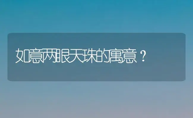 如意两眼天珠的寓意？ | 多肉养殖
