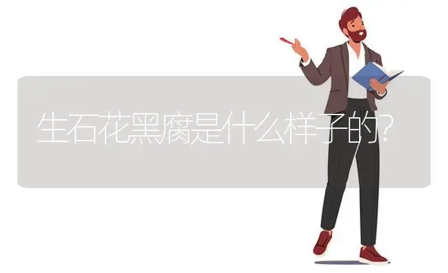 生石花黑腐是什么样子的？ | 多肉养殖