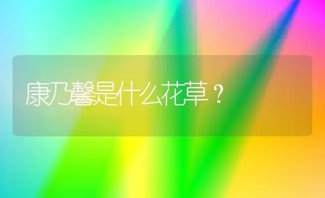 茉莉花茶有什么特点和不同？ | 绿植常识