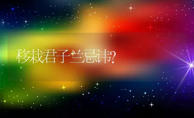 移栽君子兰忌讳？ | 绿植常识