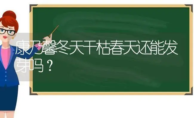 康乃馨冬天干枯春天还能发芽吗？ | 绿植常识