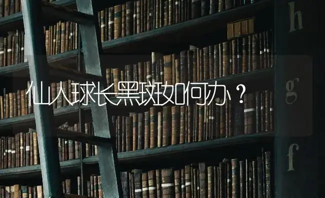 仙人球长黑斑如何办？ | 特种种植