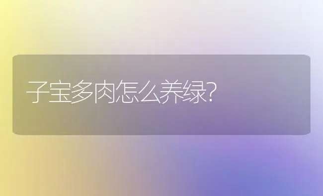 子宝多肉怎么养绿？ | 多肉养殖