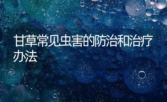 甘草常见虫害的防治和治疗办法 | 药材种植