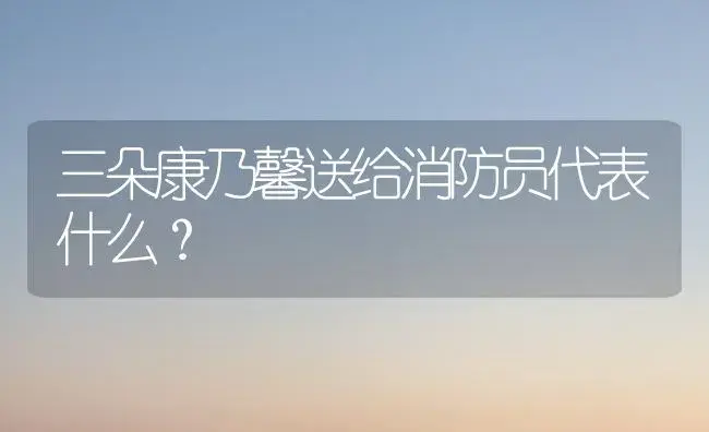 三朵康乃馨送给消防员代表什么？ | 绿植常识