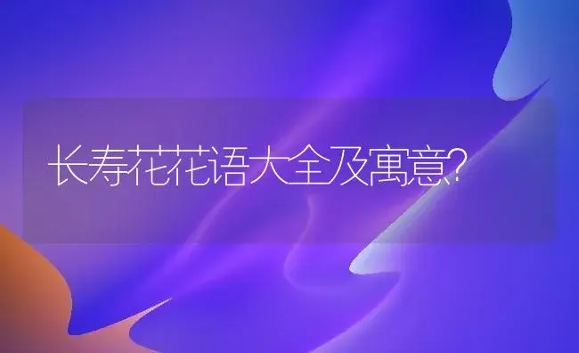 长寿花花语大全及寓意？ | 多肉养殖