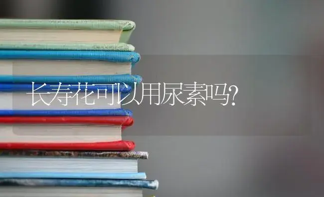 长寿花可以用尿素吗？ | 多肉养殖