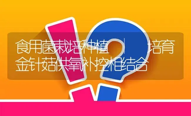 培育金针菇供氧补控相结合 | 菌菇种植