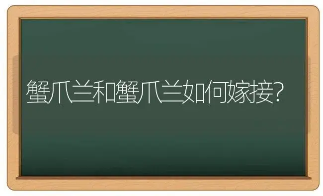 蟹爪兰和蟹爪兰如何嫁接？ | 多肉养殖