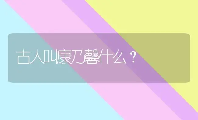 古人叫康乃馨什么？ | 绿植常识