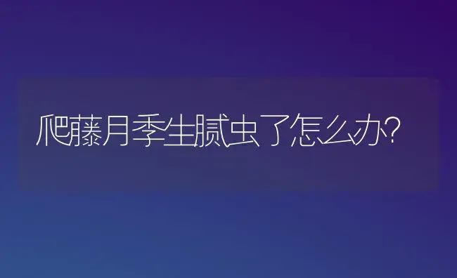 爬藤月季生腻虫了怎么办？ | 绿植常识