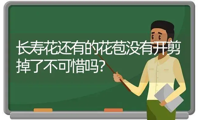 长寿花还有的花苞没有开剪掉了不可惜吗？ | 多肉养殖