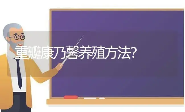 重瓣康乃馨养殖方法？ | 绿植常识