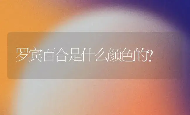 罗宾百合是什么颜色的？ | 绿植常识